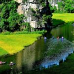 Hoa Lu - Tam Coc - Ninh Binh Day Tour: Biking, Visit Local Family - A Deep Dive into the Ninh Binh Experience