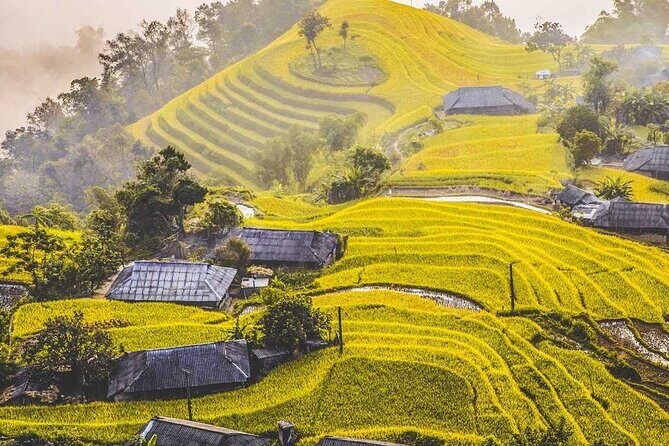 Hoang Su Phi Trekking Tour 3 days 2 nights - An In-Depth Look at the Hoang Su Phi Trekking Tour