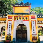 Hoi An: Cham Island Snorkeling Adventure & Seafood Lunch - Practical Details and Tips