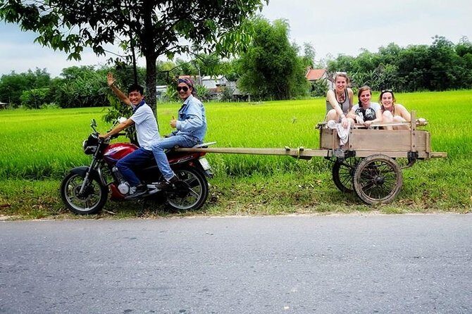 Hoi An Countryside Back Road Tour - What We Appreciated and What to Consider