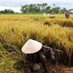 Hoi An Countryside By Bike - Final Thoughts