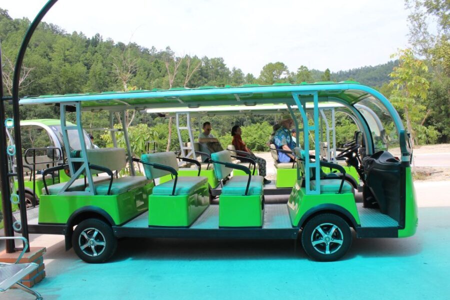 Hoi An/Da Nang: My Son Afternoon tour: Banh my and Cruise - Exploring the Itinerary and What You Can Expect