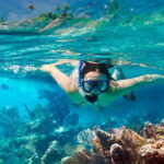 Hoi An/Da Nang:Cham Island Daily Tour-Snorkeling Experience - What We Love About This Tour