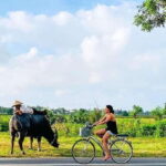 Hoi An Eco Bike Tour: Visit Cultural & Traditional Villages - The Itinerary in Detail