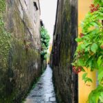 Hoi An: Half-day Hoi An Heritage Walk - FAQ: Practical Questions About This Tour