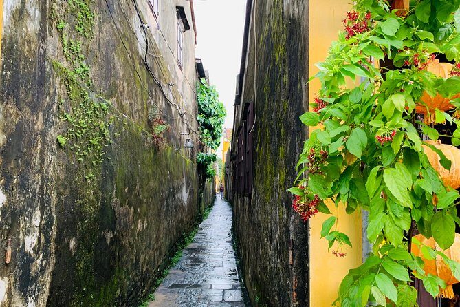 Hoi An: Half-day Hoi An Heritage Walk - FAQ: Practical Questions About This Tour