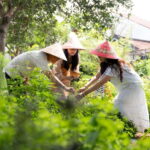 Hoi An Hidden Gem: Vietnamese Coffee Making x Local Herbal - Final Thoughts
