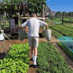 Hoi An: Rural Bike Tour and Traditional Villages - Why This Tour Works for Travelers