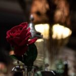 Hoi An Secret Cocktail Experience in Old Town - Who Would Love This Tour?