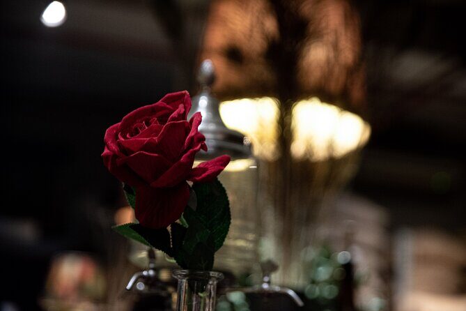 Hoi An Secret Cocktail Experience in Old Town - Who Would Love This Tour?