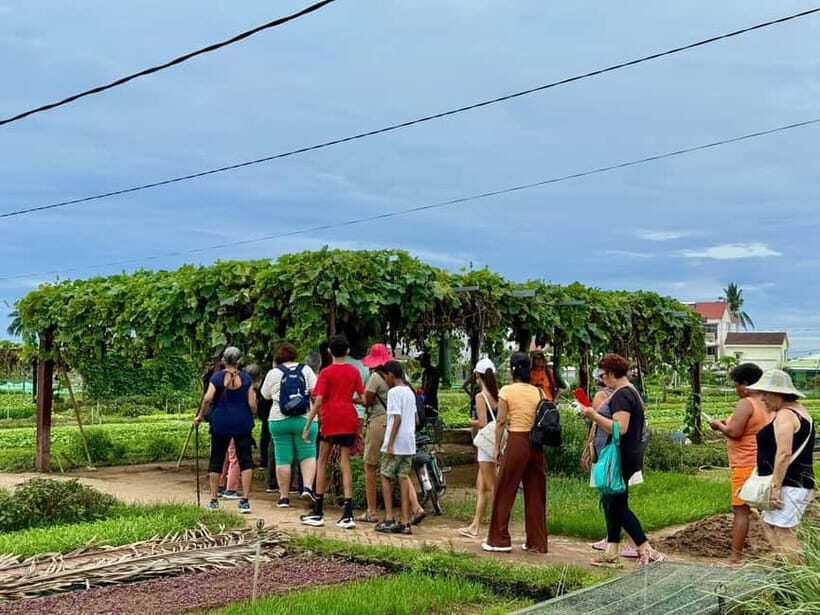 Hoi An: Trà Qu Village Cafe Tour with Local Guided - What to Expect During the Tour