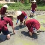 Hoi An Wet Rice Farming Tour Private Round Boat Fishing & Lunch - The Sum Up: Is This Tour Right for You?