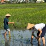 Hoi An:Cycling,Traditional Farming & Fishing Life Experience - An In-Depth Look at the Experience: What to Expect