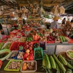 HoiAnGO Experience Local Life: Countryside by Electric Car - What Travelers Are Saying