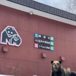 Hokkaido 10-hour chartered day trip Noboribetsu - An In-Depth Look at the Noboribetsu Day Trip