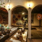 Hokkaido: Hananingen Sprouting Experience Photography Plan - Who Will Enjoy This Experience?