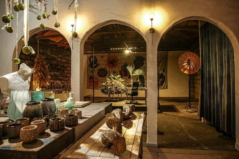 Hokkaido: Hananingen Sprouting Experience Photography Plan - Who Will Enjoy This Experience?