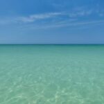 Holbox Exclusive Full Day Tour - Who Should Consider This Tour?