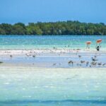 Holbox Island Tour in Mexico with Lunch - FAQ