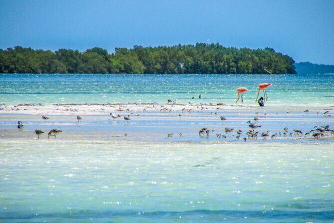 Holbox Island Tour in Mexico with Lunch - FAQ