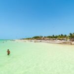 Holbox Island Tour with Pasion Island and Punta Mosquito - Genuine Traveler Feedback