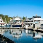 Holiday Festive Dinner and Dance Cruise Tour in Vancouver - Final Thoughts on the Holiday Dinner and Dance Cruise