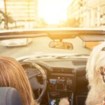 Hollywood Fame & Celebrity Homes Self-Guided Audio Bundle Tour - FAQ