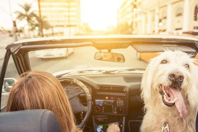 Hollywood Fame & Celebrity Homes Self-Guided Audio Bundle Tour - FAQ