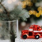 Home Alone Lost In New York Filming Locations with Private Guide - The Sum Up