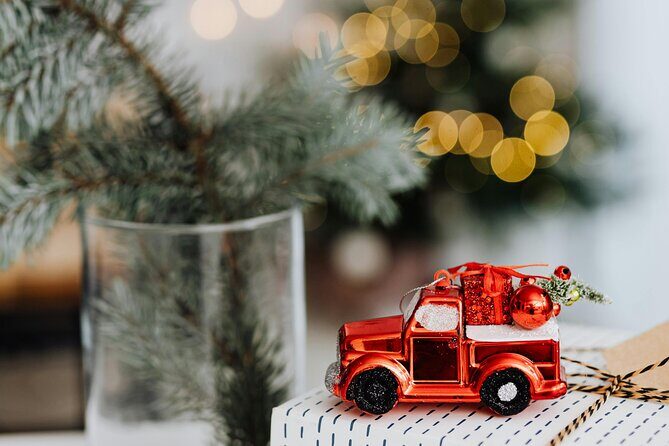 Home Alone Lost In New York Filming Locations with Private Guide - The Sum Up