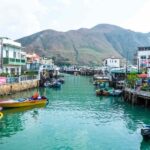 Hong Kong: Dolphin Cruise, Big Buddha, & Lantau Island Tour - Who Will Love This Tour?