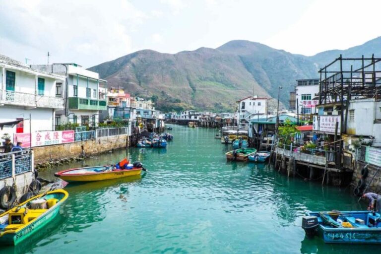 Hong Kong: Dolphin Cruise, Big Buddha, & Lantau Island Tour - Who Will Love This Tour?