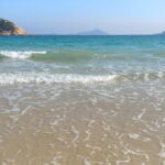 Hong Kong Half-Day Private Walking Tour with a Local Guide - Final Thoughts: Who Is This Tour Best For?