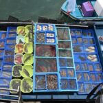 Hong Kong Kowloon 6 Hours Private Limo Tour - Customized Travel - Why Choose This Tour?