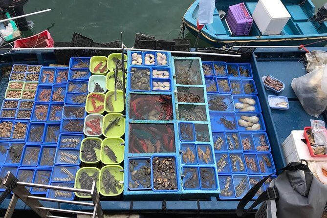 Hong Kong Kowloon 6 Hours Private Limo Tour - Customized Travel - Why Choose This Tour?