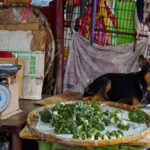 Hong Kong: photographic tour of Kowloon's Yau Tsim Mong district. - First Stop: Kowloon Park — Morning Tai Chi and Nature