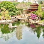 Hong Kong Private Shore Excursion 4/6hrs (with car - MPV) - Frequently Asked Questions