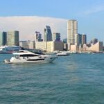 Hong Kong: Private Tour with a Local Guide - A Deep Dive into the Experience