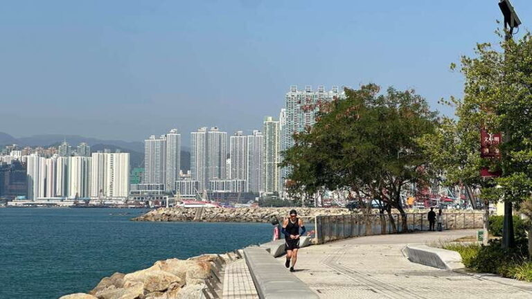 Hong Kong: Wong Tai Sin Temple and Victoria Harbour Tour - A detailed look at the tour experience