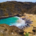 Honolulu Polo Game with Stables Tour and VIP Seats plus Private Island Tour - Experiencing the Best of Oahu’s Southern Coast