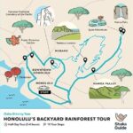 Honolulu Rainforest Self-Guided Audio Tour - The Experience: What You Can Expect