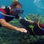 Hookah Diving Adventure in Zihuatanejo - Authentic Marine Encounters and Practical Details