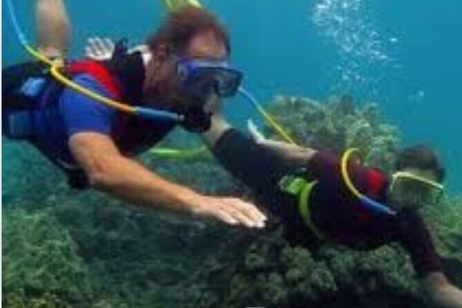 Hookah Diving Adventure in Zihuatanejo - Authentic Marine Encounters and Practical Details