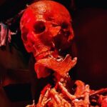 Horror on Hallows Eve - The Experiences Core: What’s Included