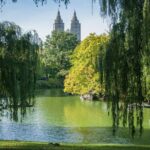 Horse Carriage Romantic Ride (VIP-Private) in Central Park 1964 - Why This Tour Offers Great Value