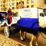 Horse Carriage Tour in New York City's Central Park Small Loop - A Detailed Look at the Horse Carriage Tour in Central Park