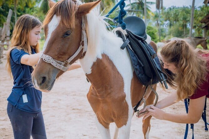 Horse Riding and Beach Trails on Koh Samui - A Closer Look at the Koh Samui Horse Riding Experience