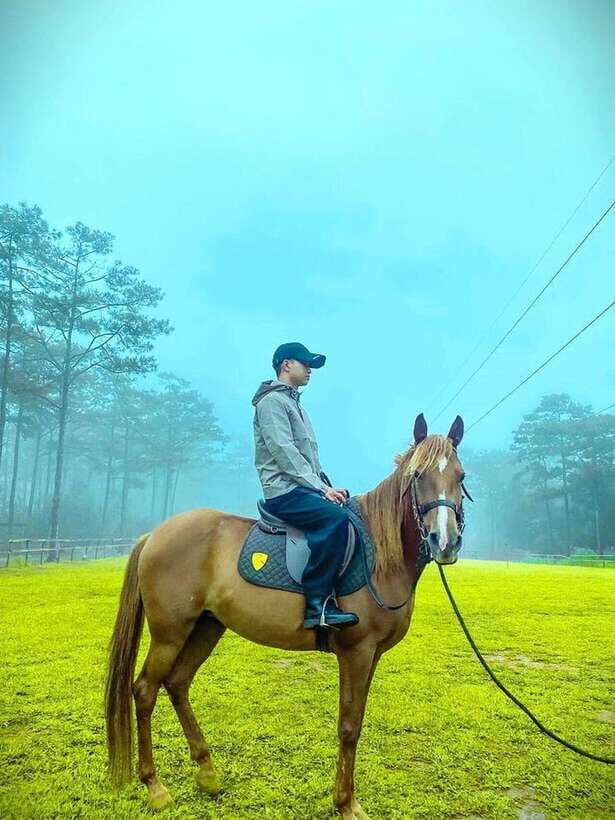 Horse Riding Course in Mang Den with Pickup and Drinks - An In-Depth Look at the Horse Riding Experience in Mang Den