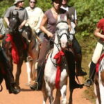 Horse Riding in Nuwara Eliya - Who Will Love This Tour?