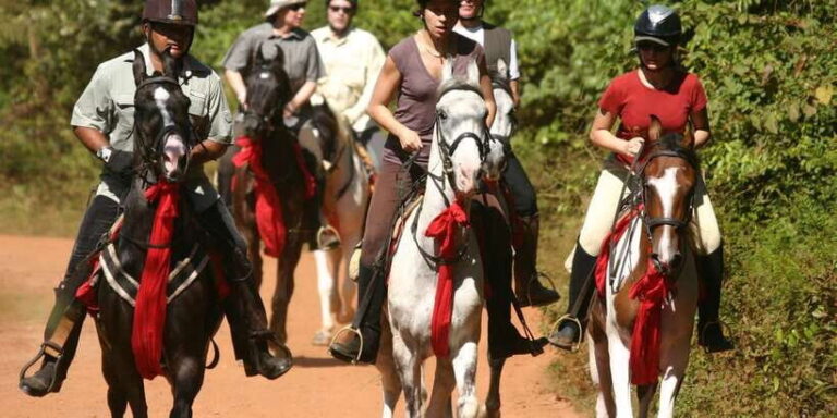 Horse Riding in Nuwara Eliya - Who Will Love This Tour?